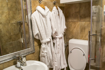 Hotel Boutique Mikaela Brasov seif